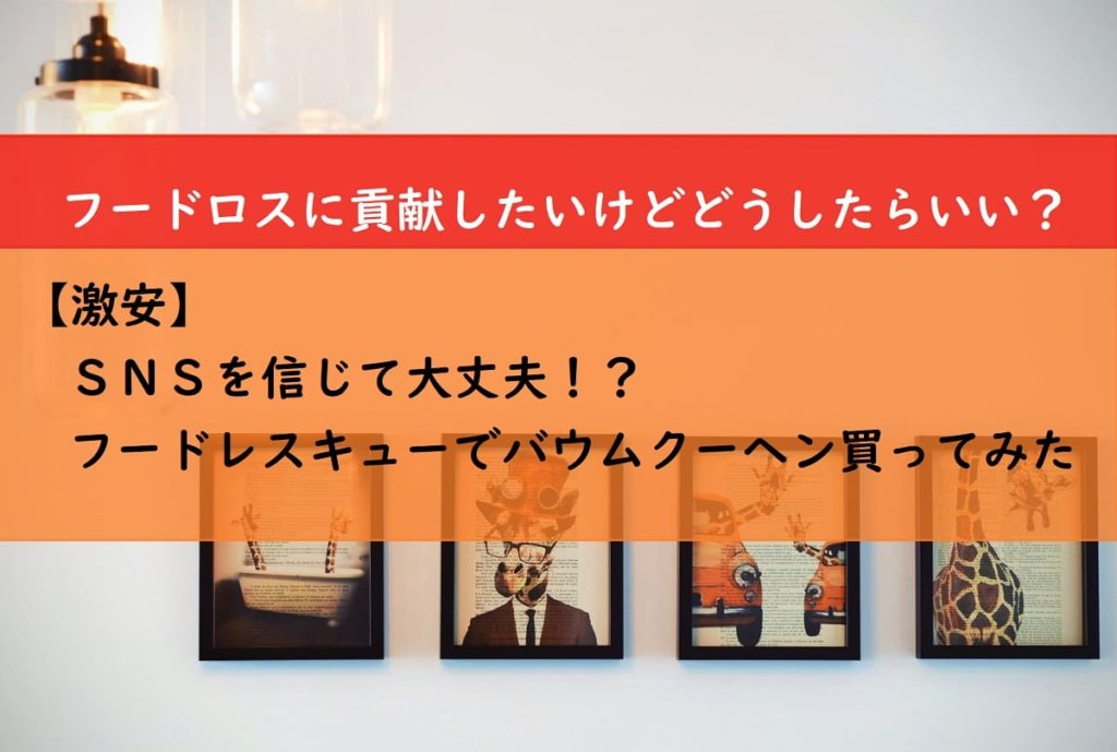 【激安】ＳＮＳを信じて大丈夫！？　フードレスキューでバームクーヘン買ってみた